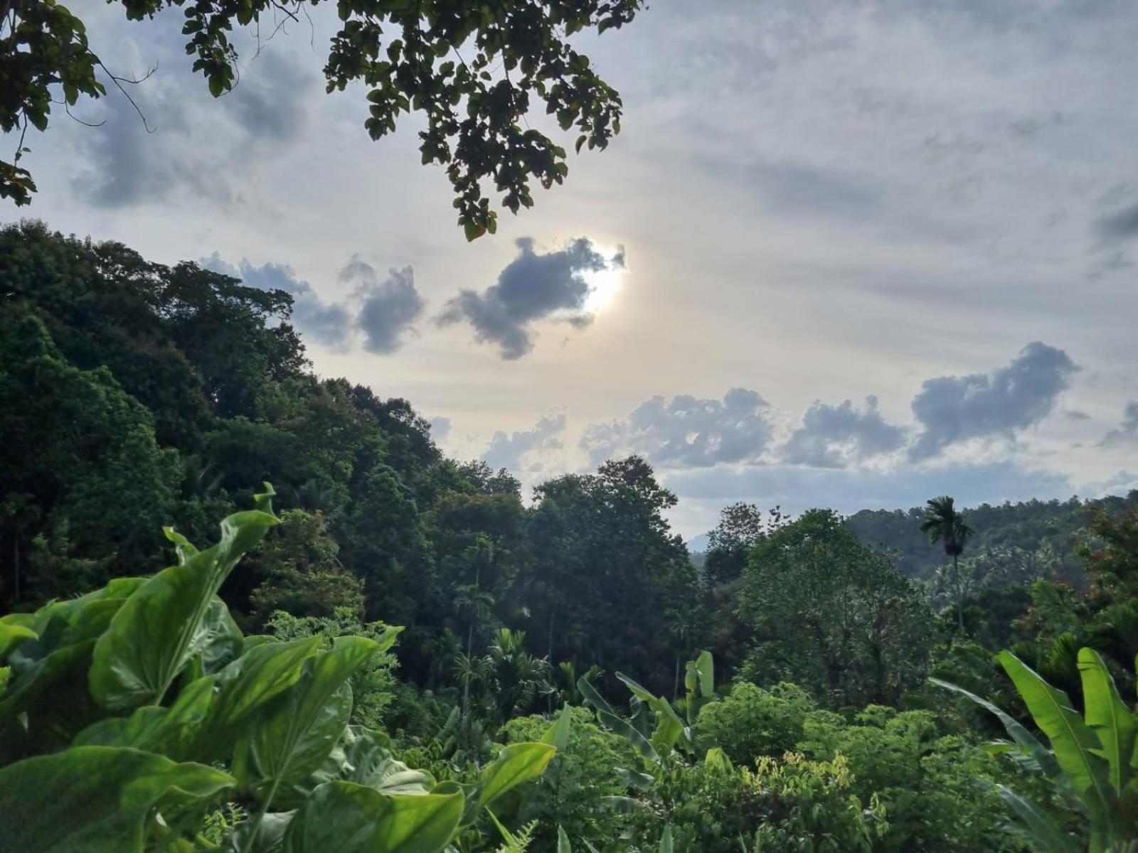 Silver Hill Ecovillage Курунегала Екстер'єр фото