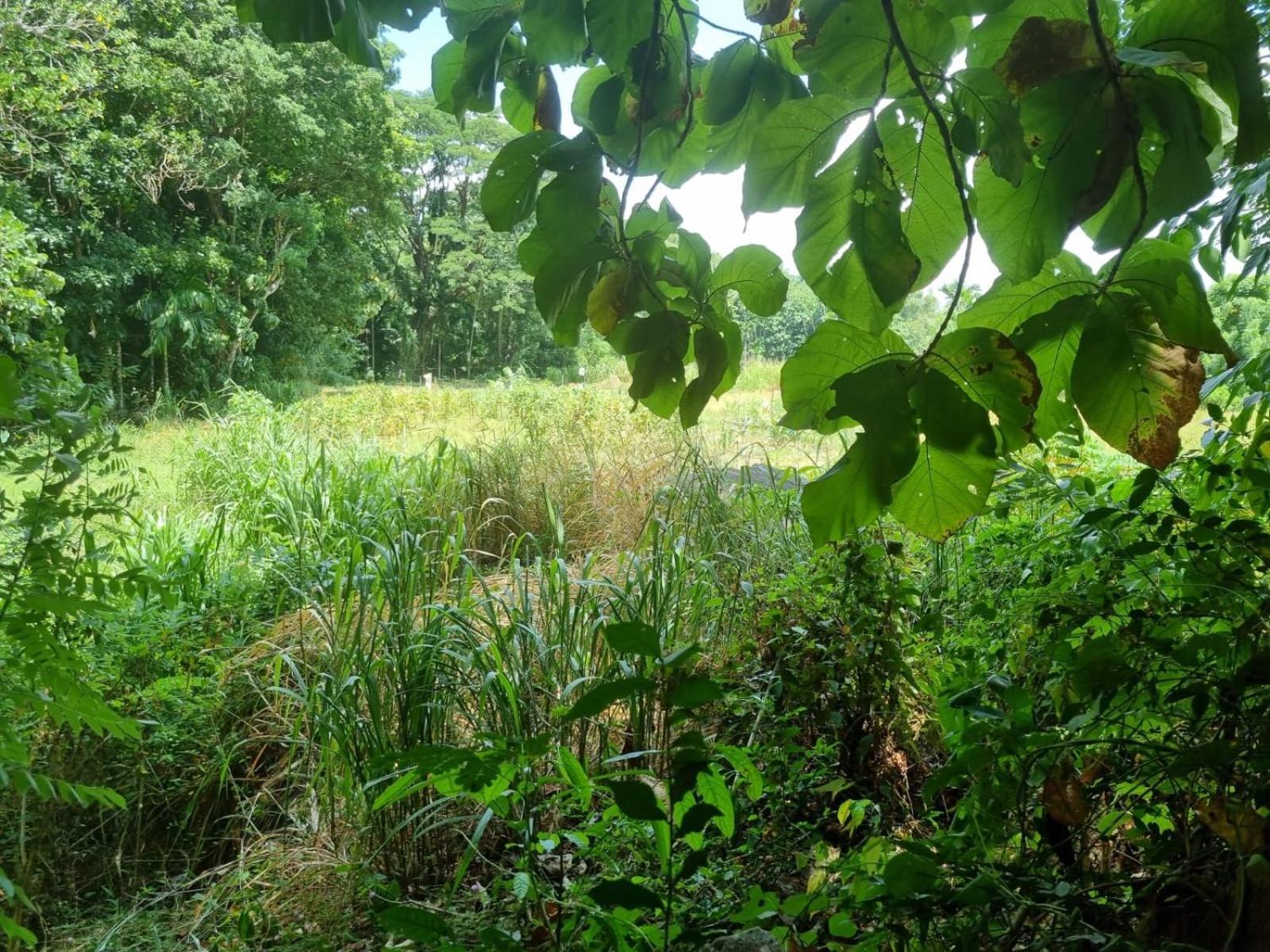 Silver Hill Ecovillage Курунегала Екстер'єр фото