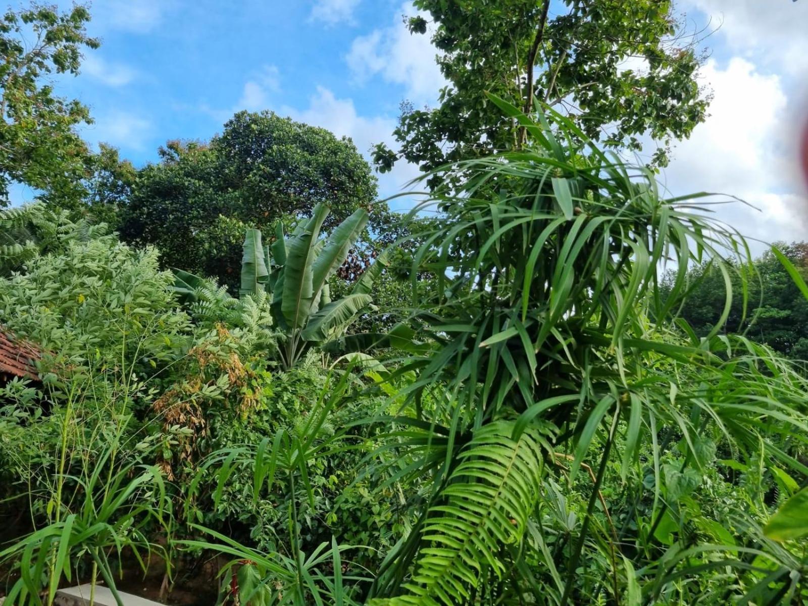 Silver Hill Ecovillage Курунегала Екстер'єр фото