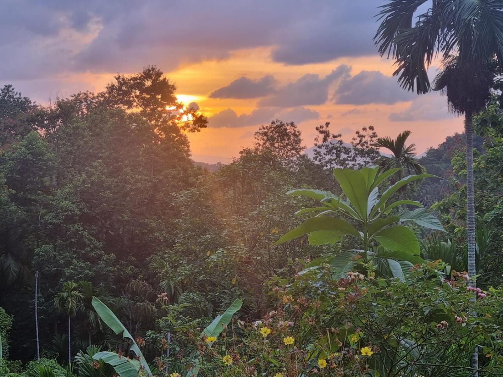 Silver Hill Ecovillage Курунегала Екстер'єр фото